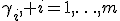 \gamma_i, i=1,\ldots,m