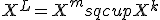 X^L = X^m sqcup X^k