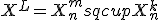 X^L = X_n^m sqcup X_n^k