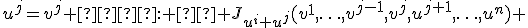 u^j=v^j   :   J_{u^i u^j}(v^1,\ldots,v^{j-1},v^j,u^{j+1},\ldots,u^n) 